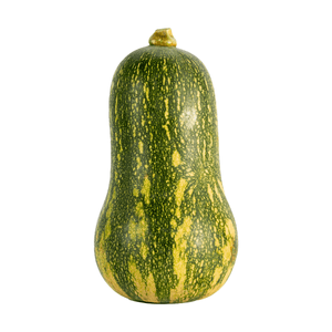 Ahuyama Variedad Unidad