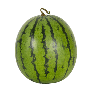 Sandia Baby Unidad