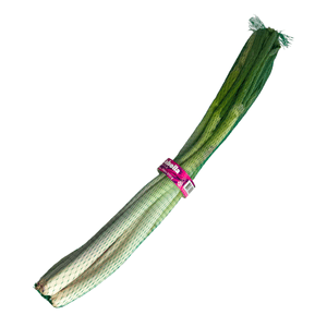 Cebolla Larga 500 Gr